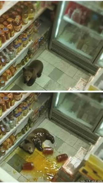 THE DRUNKEST FT5s RIGHT NOW