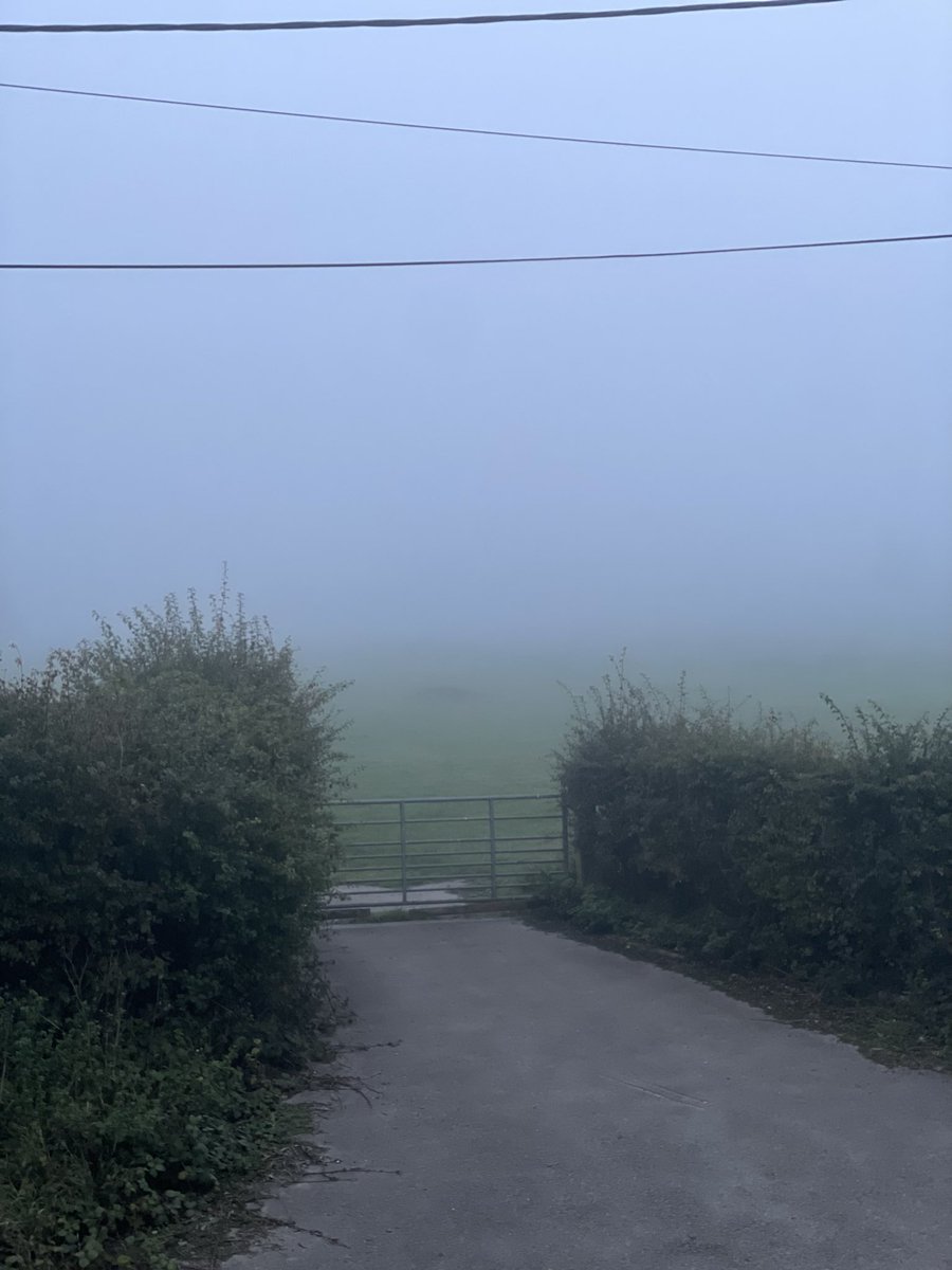 View this morning ( on the left ) view this evening ( on the right ) 🥹🤣🤣