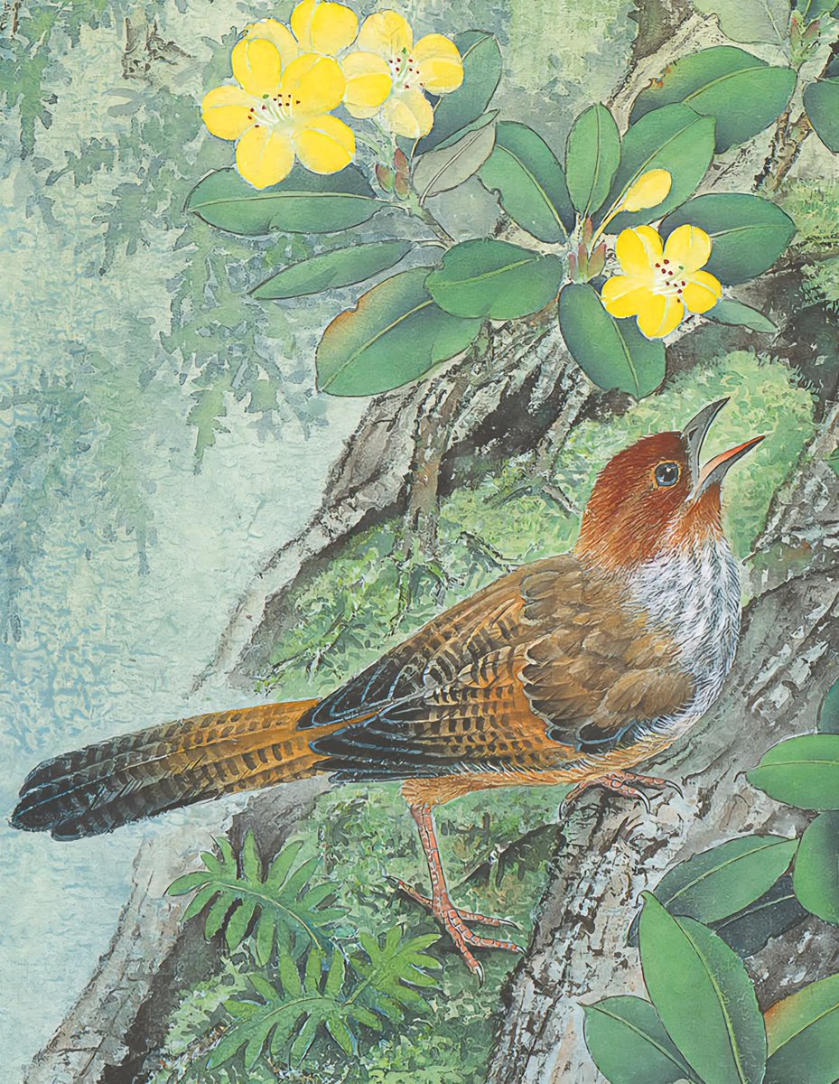 •"Saklanmak bir hazdır, bulunmamaksa bir facia."
 
|Winnicott°