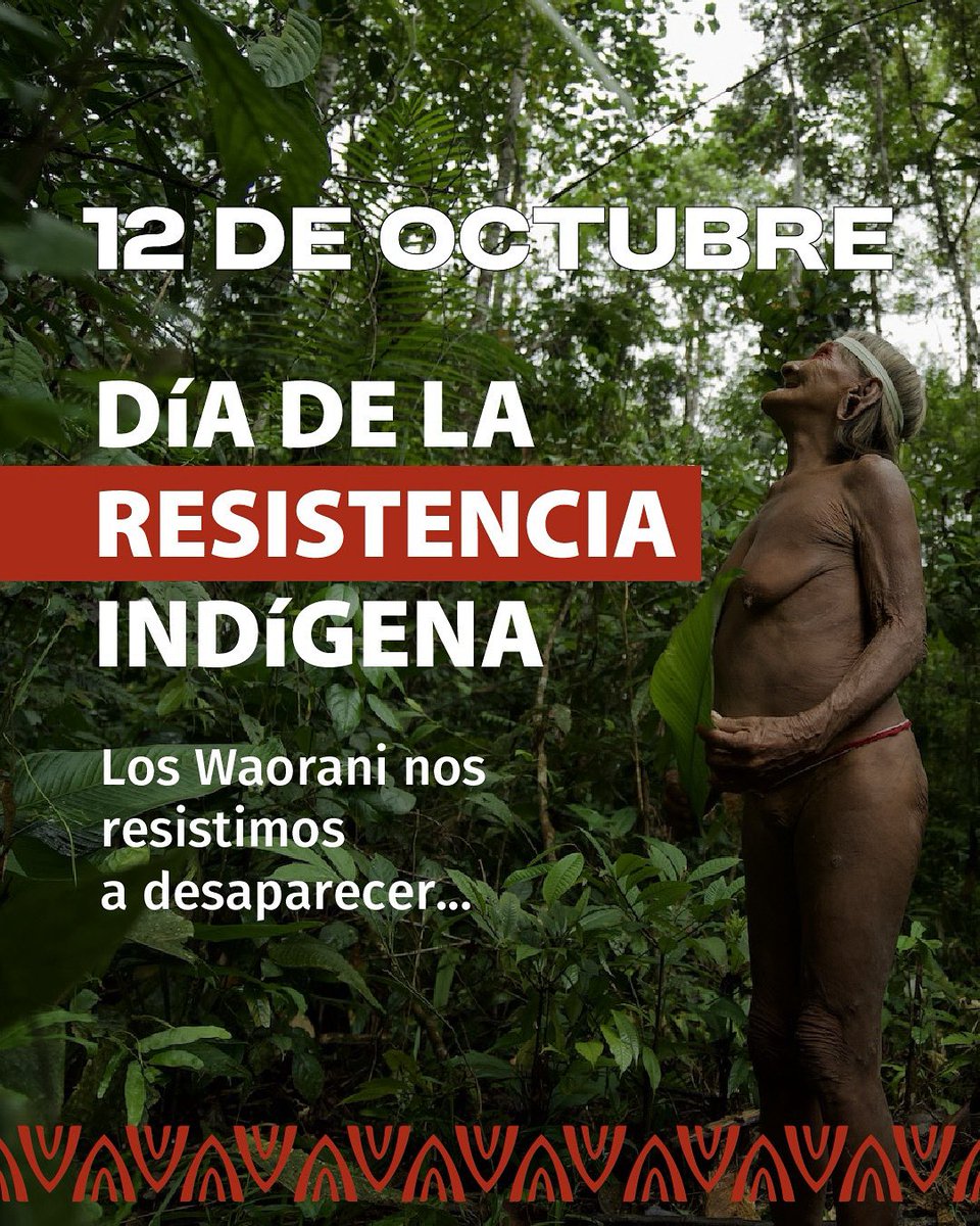 Nacionalidad Waorani del Ecuador-NAWE tweet media