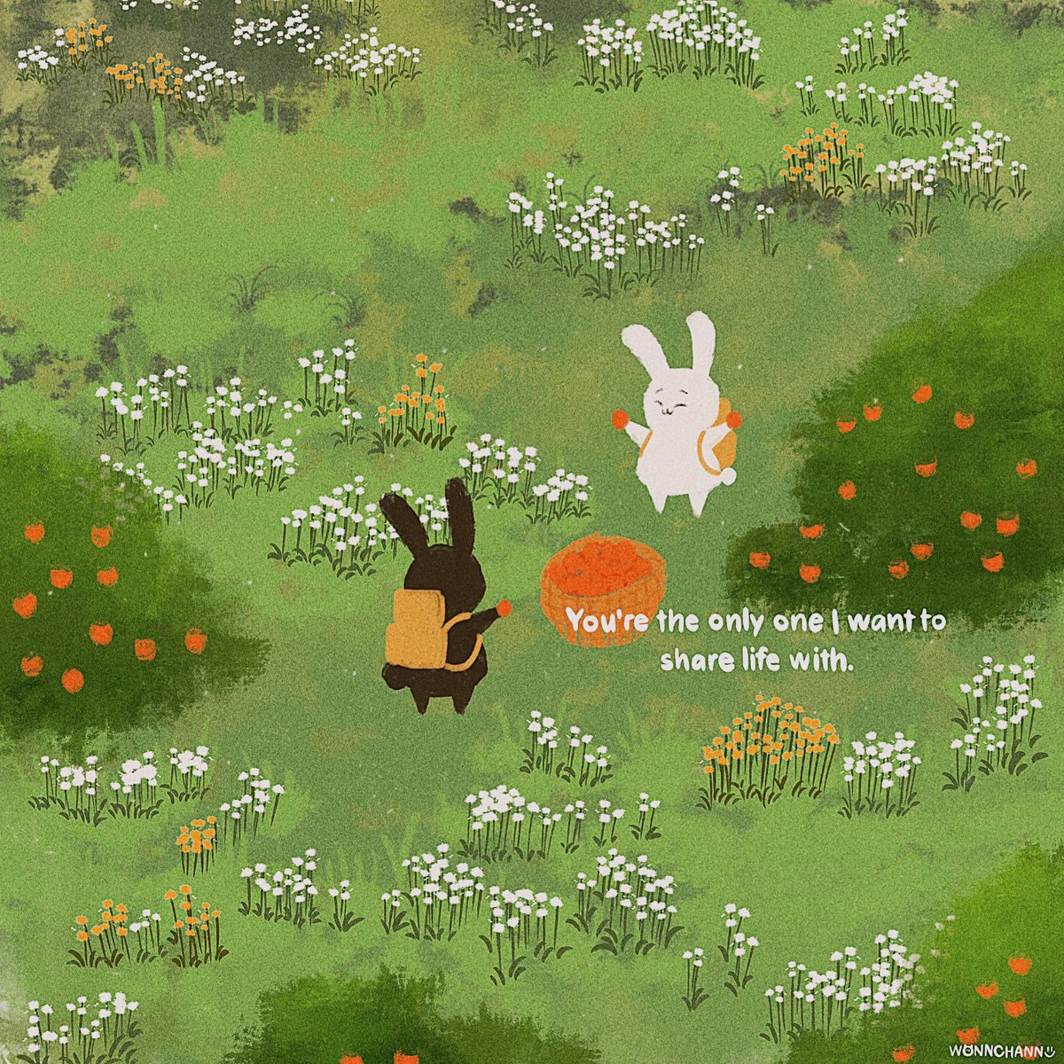 🐰🐰