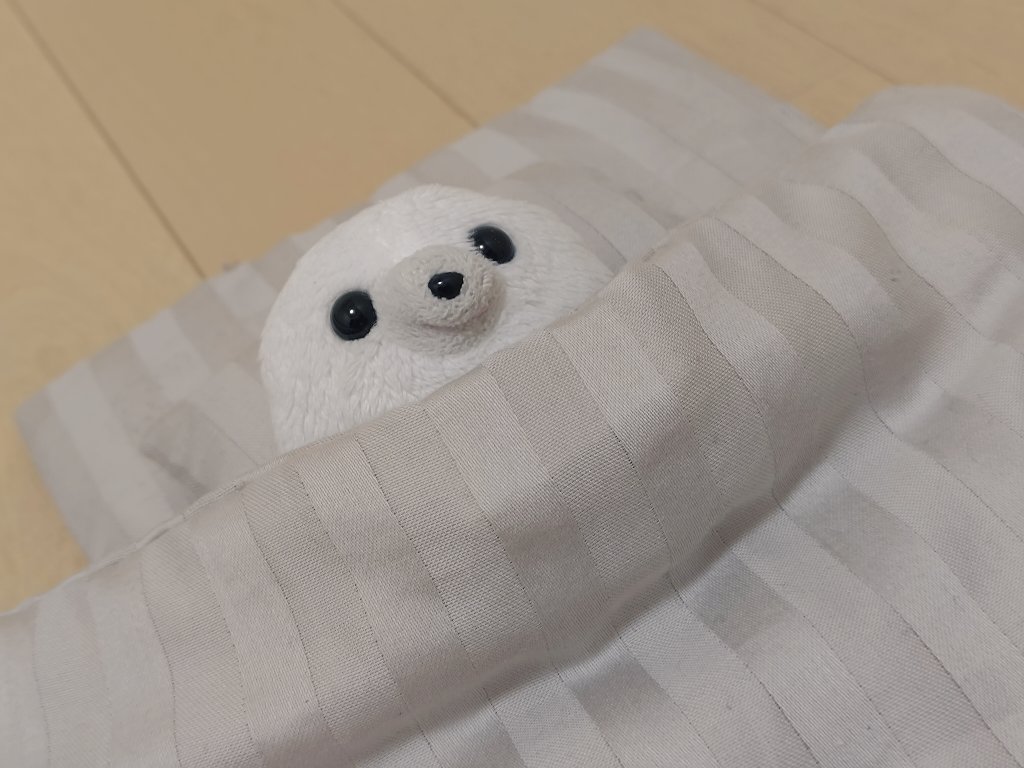 おやすみ…🌙