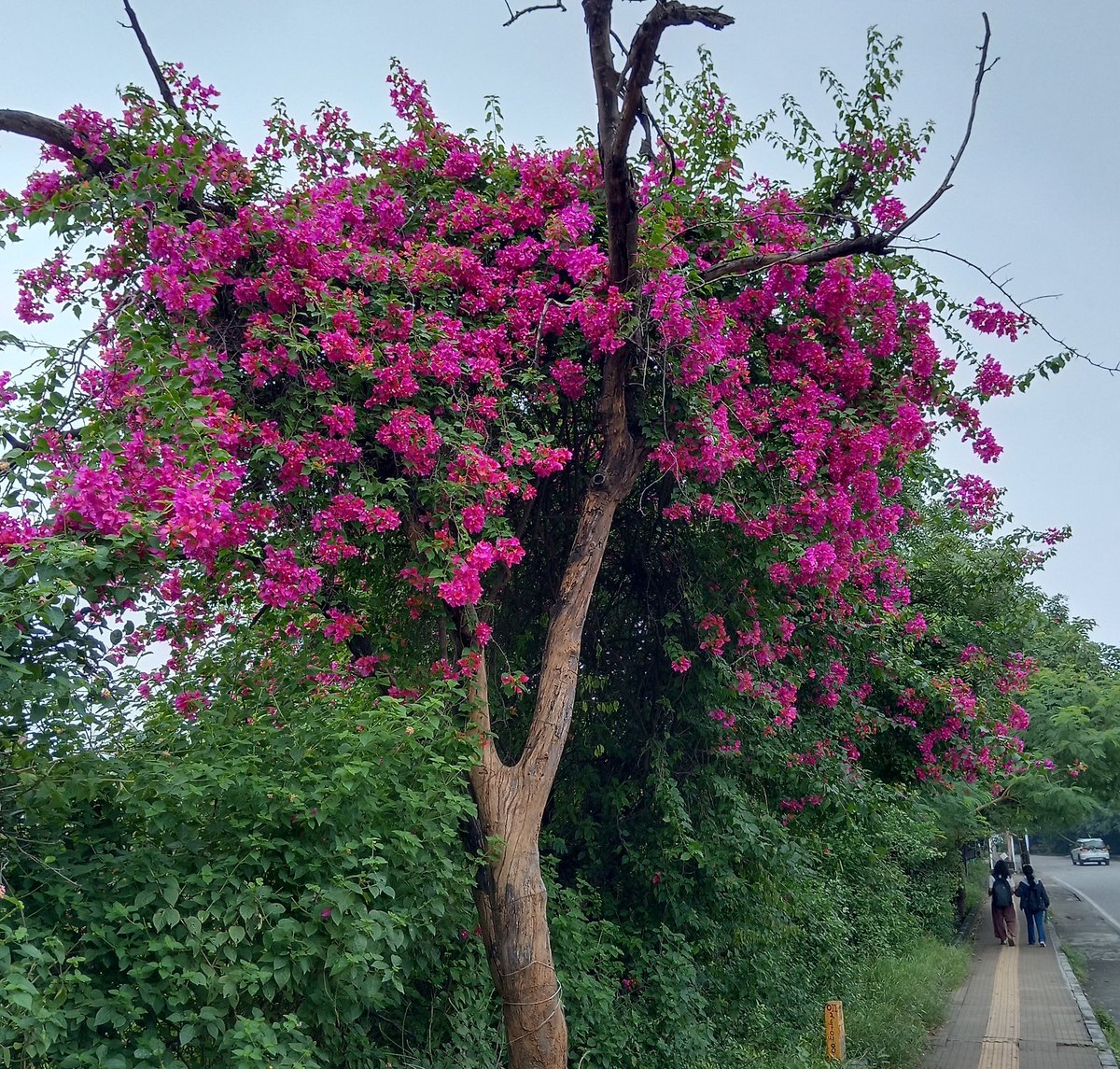 क़िबला-ए-दिल काबा-ए-जाँ और है
सज्दा-गाह-ए-अहल-ए-इरफ़ाँ और है

-अमीर मीनाई