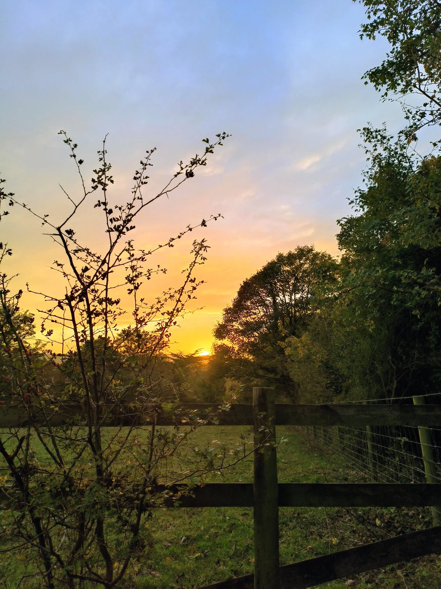 LadyGrace27's tweet image. The sun bows low and leads me home...🌄

#sundayvibes #sunset #sunsetting #walks #walkies #Countryside