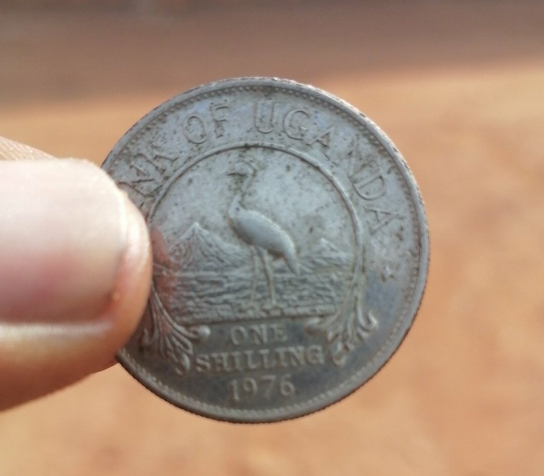 celebrity_mini's tweet image. I swallowed a coin thinking l will be rich😭😭😂
