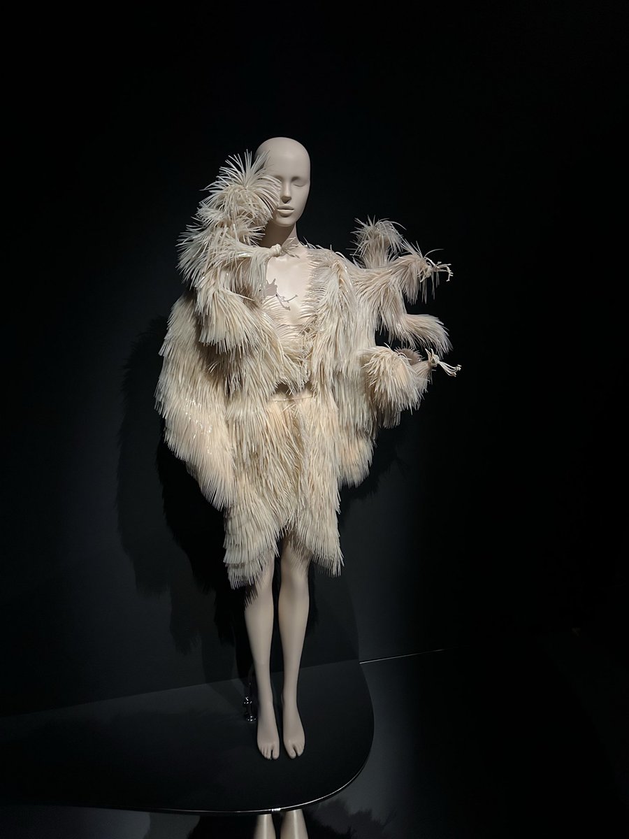 Ljudi ja bila na Iris Van Herpen izložbi i vilica mi je još uvek na podu