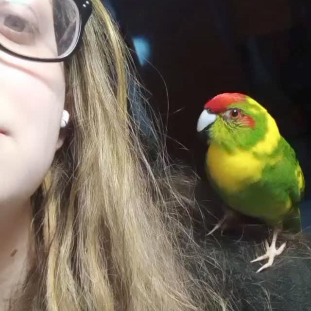 aroaaagm's tweet photo. Ayer me llevé uno de los palos más grandes de mi vida y os juro que no miento cuando digo que no sé cómo voy a seguir adelante sin él. Estuvo conmigo durante unos años terribles y había días en los que era el único que me arrancaba una sonrisa o conseguía que me levantara de+ https://t.co/9QAoSWoFWp