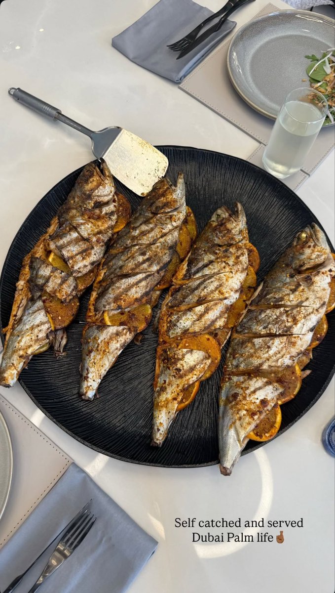 fxaalexg's tweet image. Self catched and served
Dubai Palm life🤞 

#SETANDFORGET