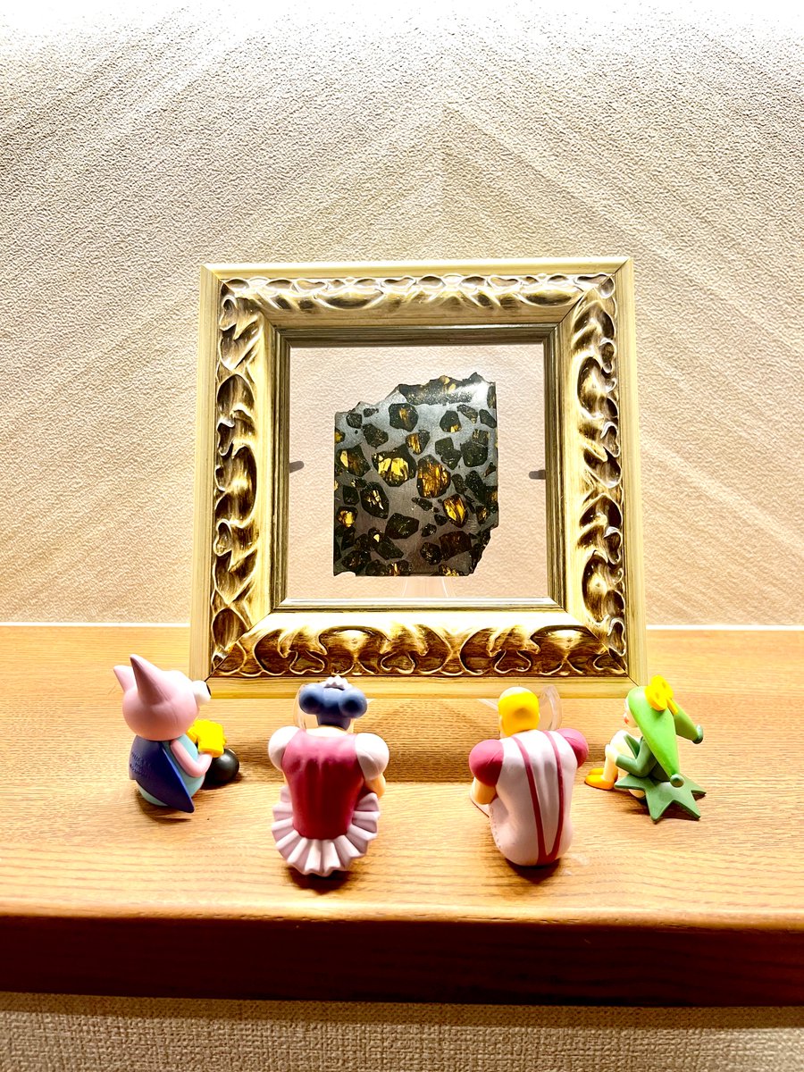 【隕石屋】METEOS（メテオス） tweet media