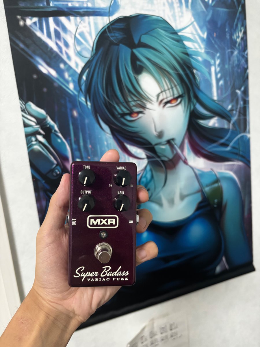 core_ruberik's tweet image. おそらく大学最後（であってほしい）マニュギ
MXR Super Badass Variac Fuzz
#mynewgear