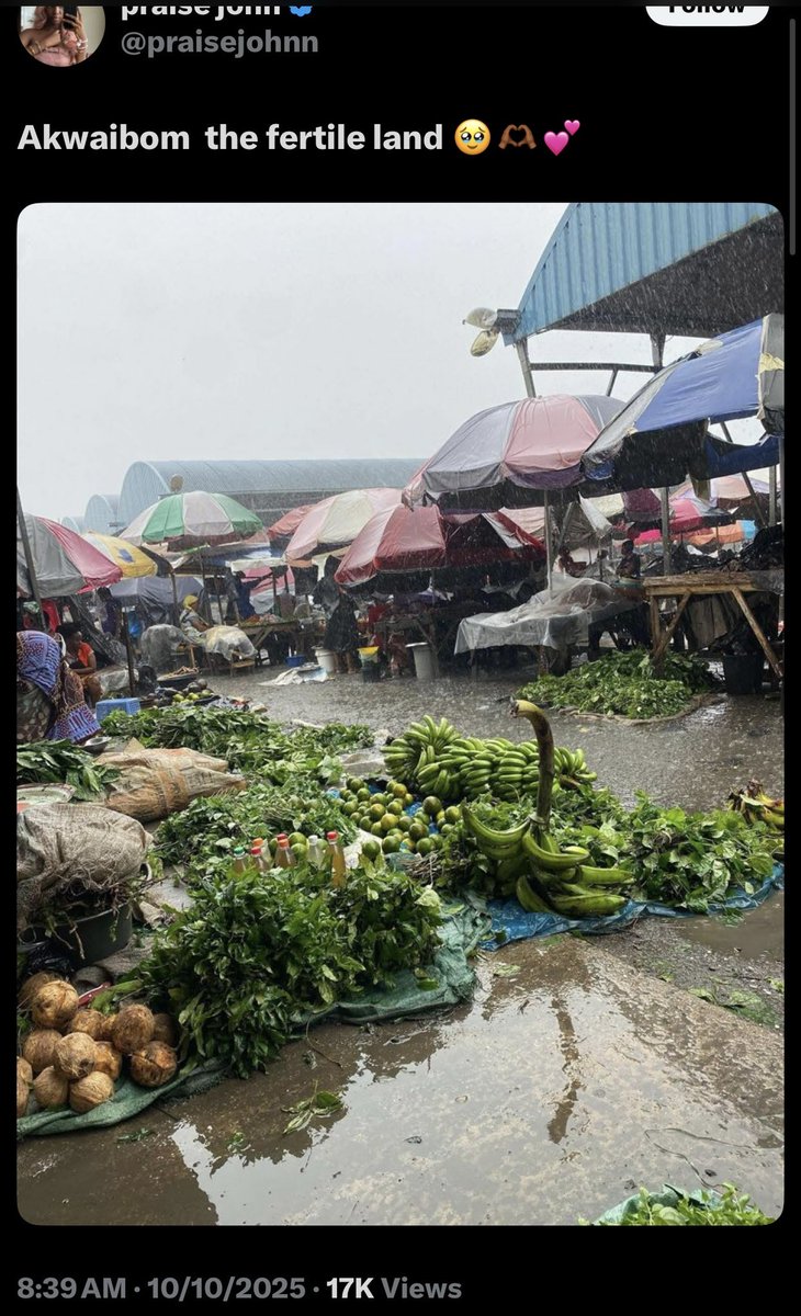 Vivian rora ma paro na” Have some shame, this is Akwa Ibom state .  Ibo people too mumu 💔