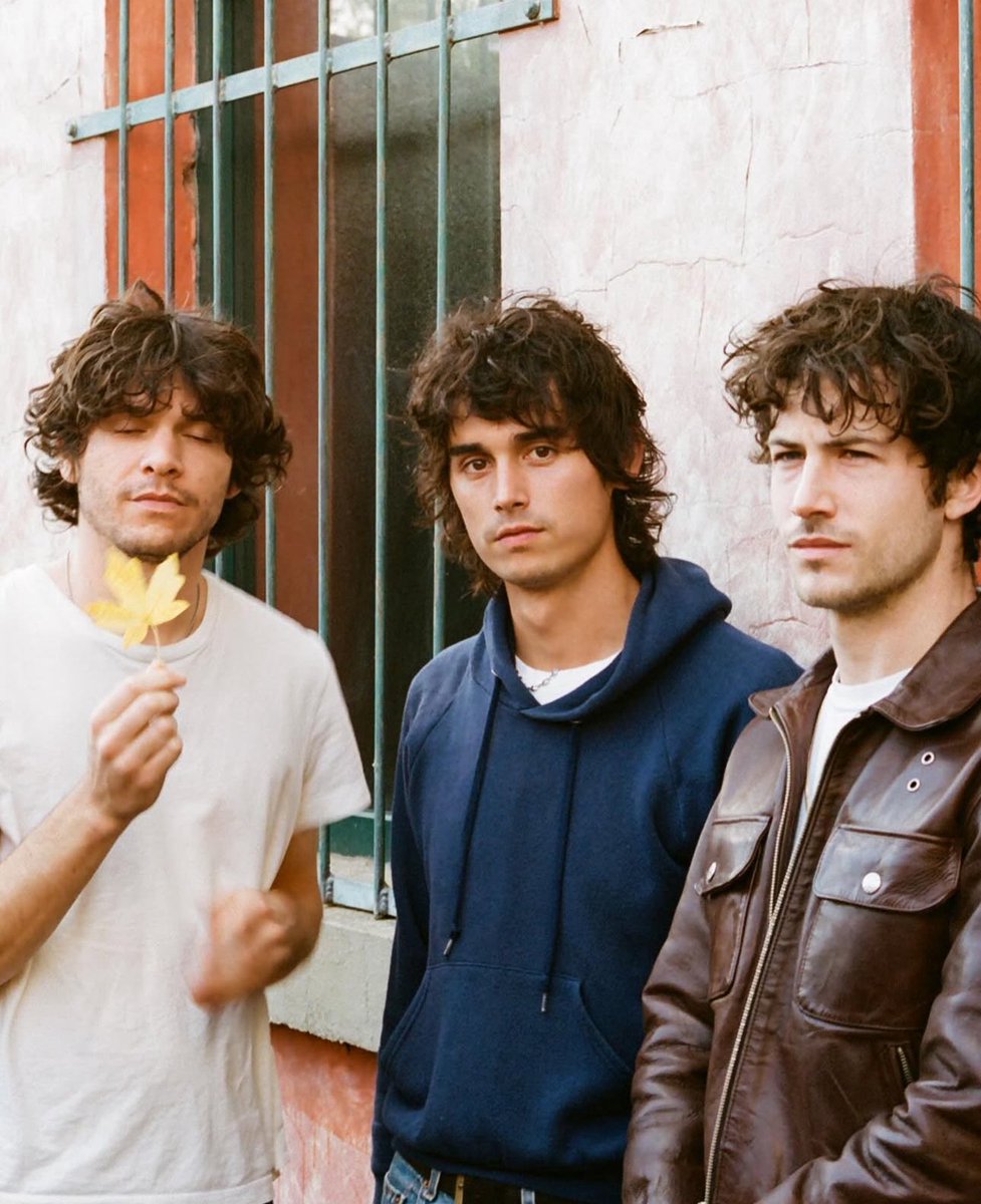 wallows archive tweet media