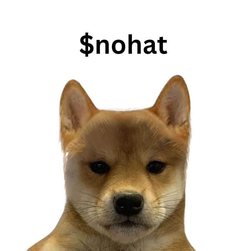 dreamcoinhere's tweet photo. Time to take off the fucking hat. u know what I mean. right ？
$NOHAT for freedom https://t.co/2JJgnKpmXm