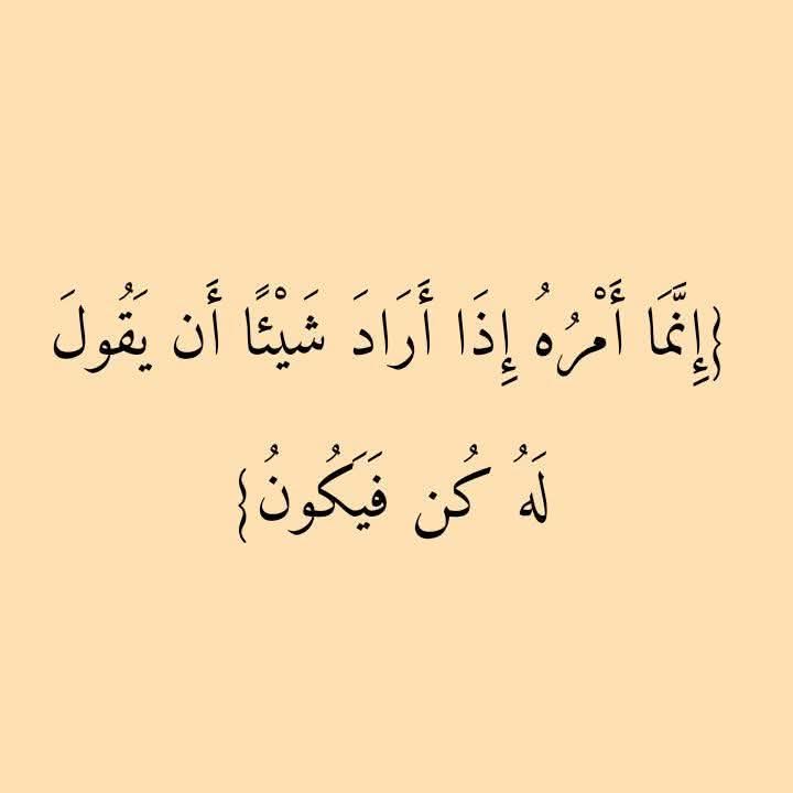 mariam srhan (@mariamsrhan) on Twitter photo 