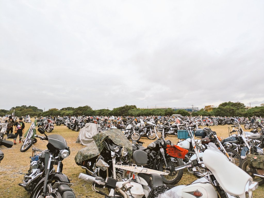 HDFXD_kyoko's tweet image. 何年かぶりにバイクのイベントに顔出してみた…けれど知り合い、二人しか会えなかった…。そもそもバイク少ない。まぁ、天気が天気だから仕方ないのかな😅でも、サイトは過去一じゃないかな？綺麗な芝サイトだし、お花畑もあるし。
#VIBES
#吉田公園
