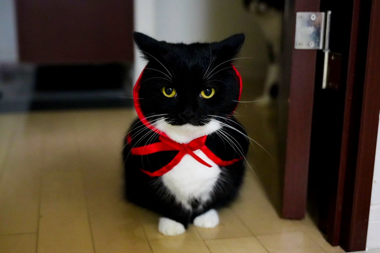 I'm Uni :3 (@unicouniuni3) / X