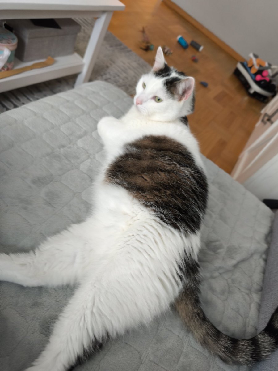 Radio shack dj tweet media