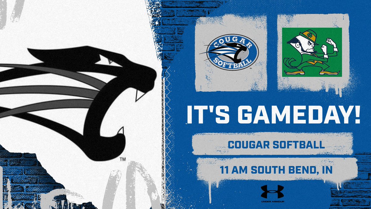 🥎SAINT FRANCIS SOFTBALL🥎 (@stfrancissftbal) on Twitter photo 