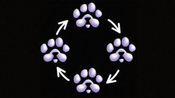 PAWS Intern tweet media