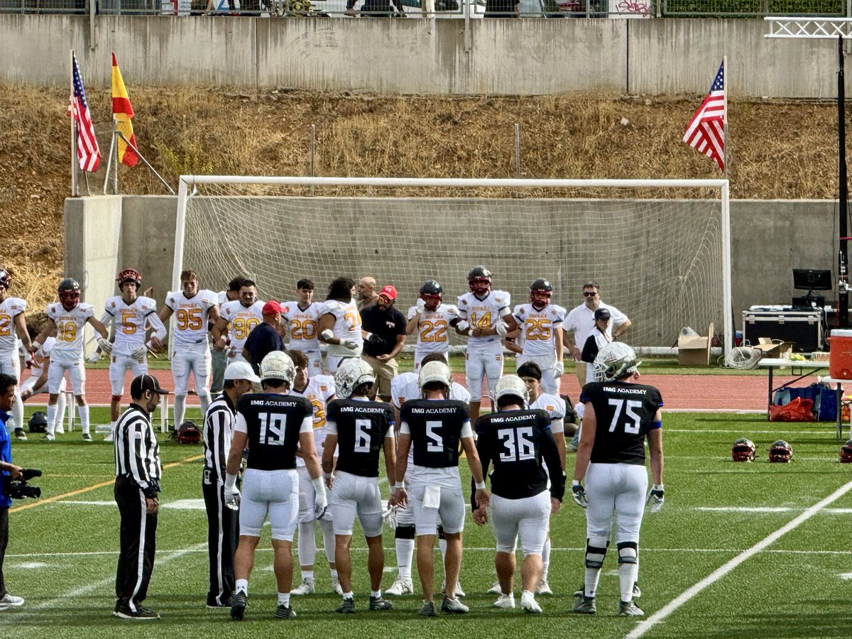 Michelene McCool tweet media