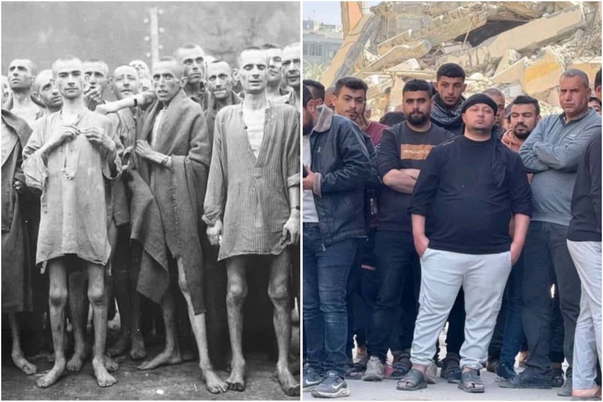 ZivoAdam's tweet image. One was a Holocaust.
The other was not.