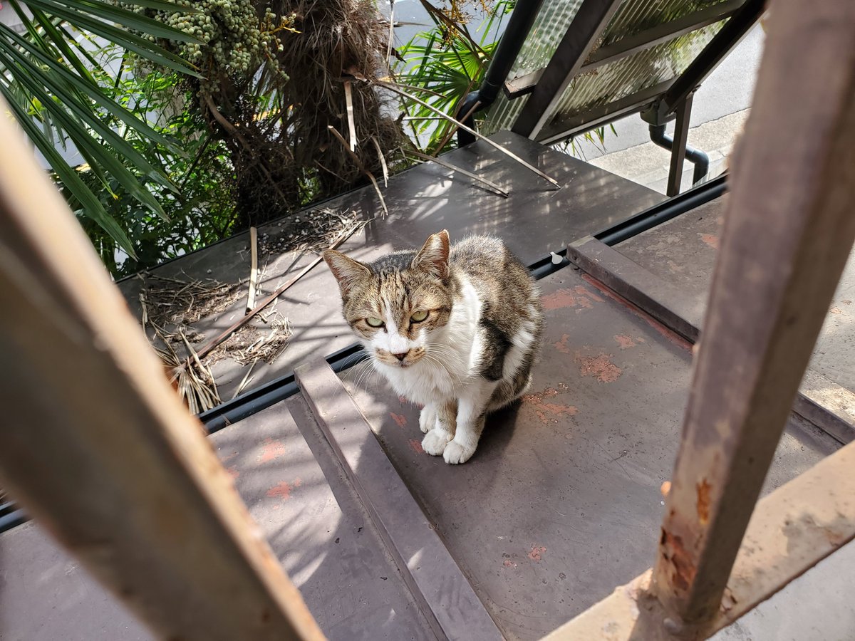 早く帰ってきてね