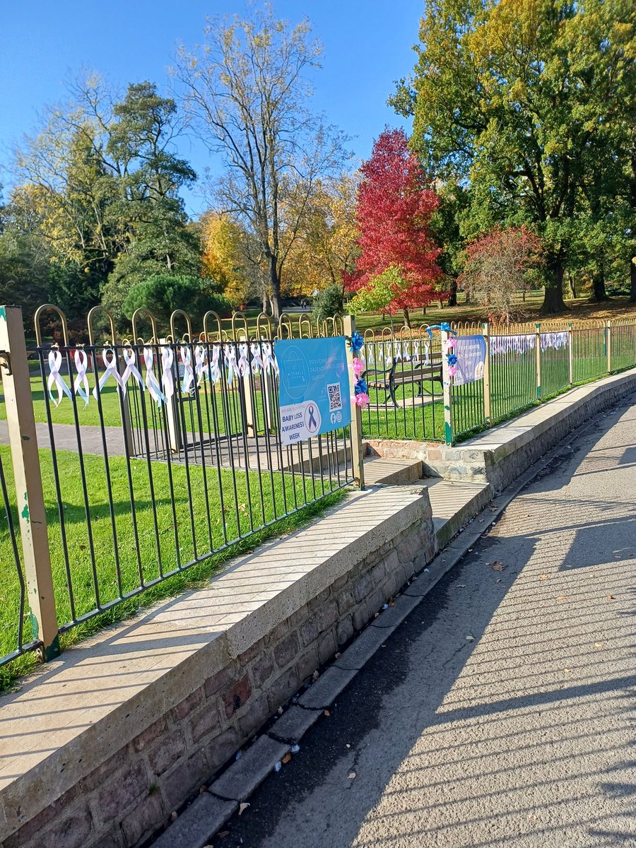 Streaming for Sands (@streaming4sands) on Twitter photo Mr and Mrs Quack visited their local <a href="/SandsUK/">Sands - baby loss charity ๐๐งก</a> ribbon display today โค๏ธ
A beautiful display of remembrance ๐
Ribbon Displays help bring a community together during BLAW (9th-15th October) by creating a special space of remembrance for every precious baby ๐๐งก Mr and Mrs Quack visited their local <a href="/SandsUK/">Sands - baby loss charity ๐๐งก</a> ribbon display today โค๏ธ
A beautiful display of remembrance ๐
Ribbon Displays help bring a community together during BLAW (9th-15th October) by creating a special space of remembrance for every precious baby ๐๐งก