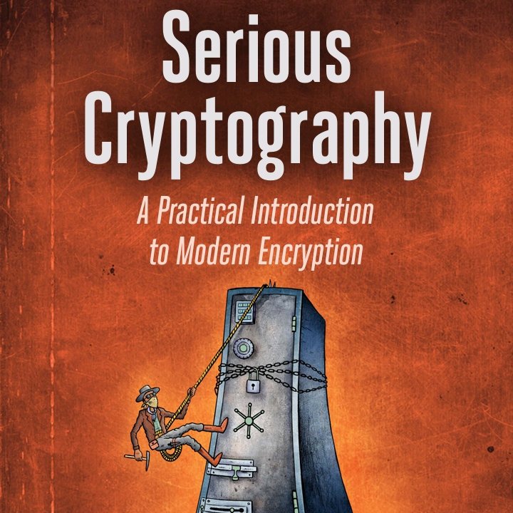 GadScript's tweet image. Abt to read one of the best books in cryptography 🧐📖😤