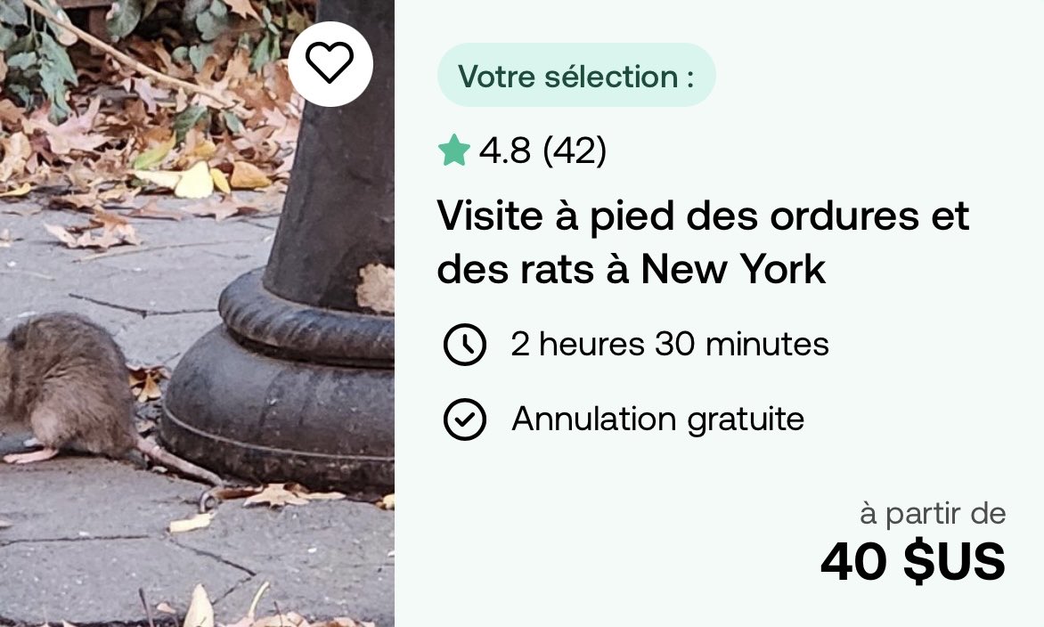 Qu’elle belle activité pour nous aujourd’hui, je me croirais à Montréal