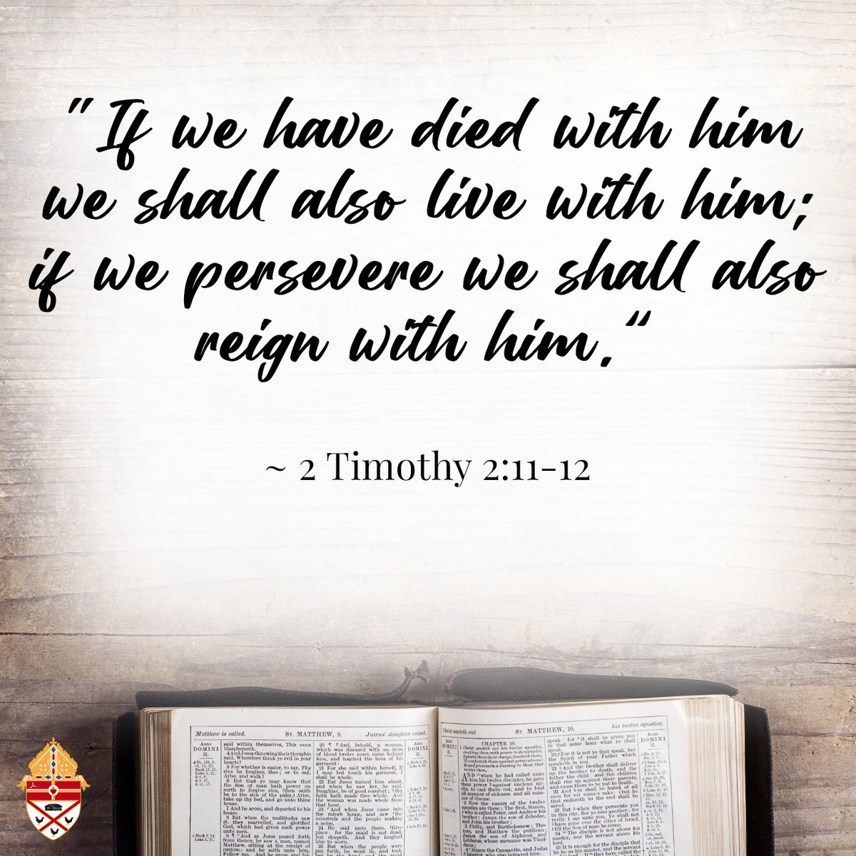 Diocese of Pensacola-Tallahassee tweet media