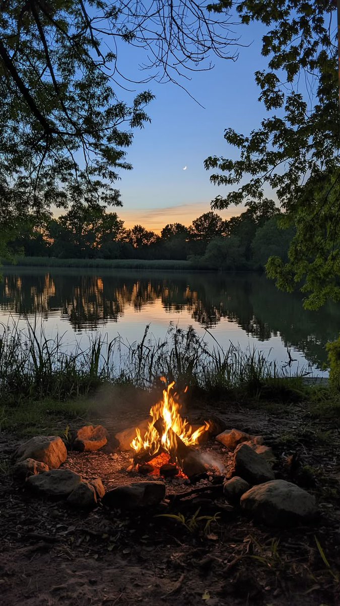 Evan Greenfield tweet media