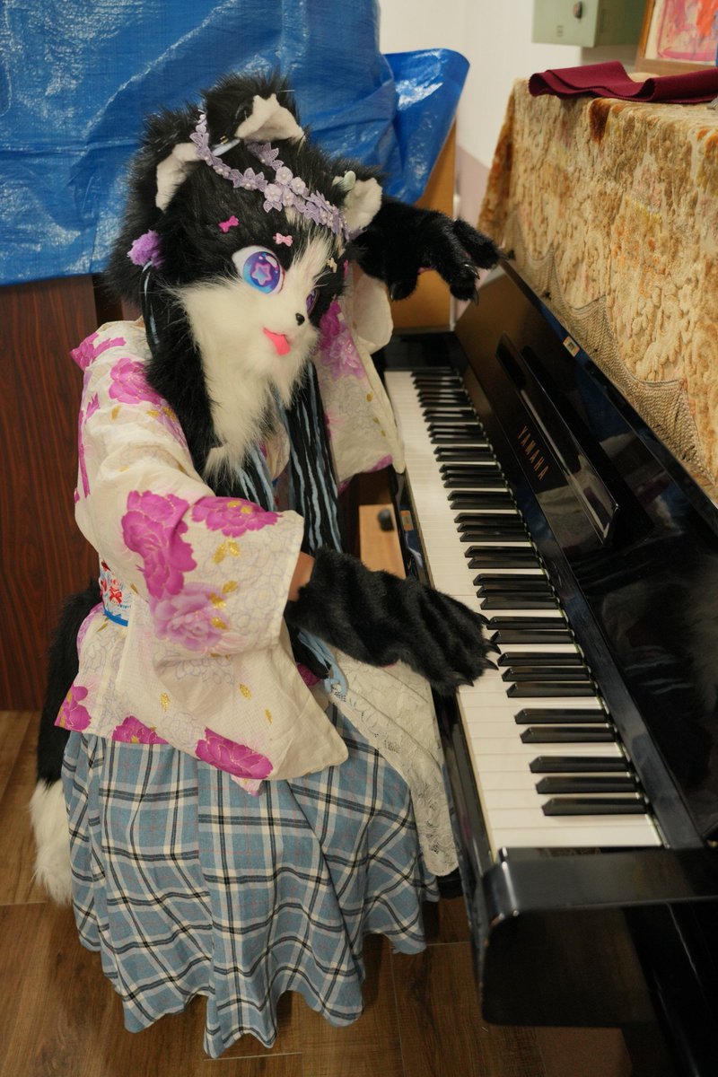 ま、サカモトくらいになるとさ。
ピアノの弾き方もワイルドになるっつー訳よ。

📷  <a href="/bluetomcat14/">飛騨牛エグチ</a> 

 #やここっとの会