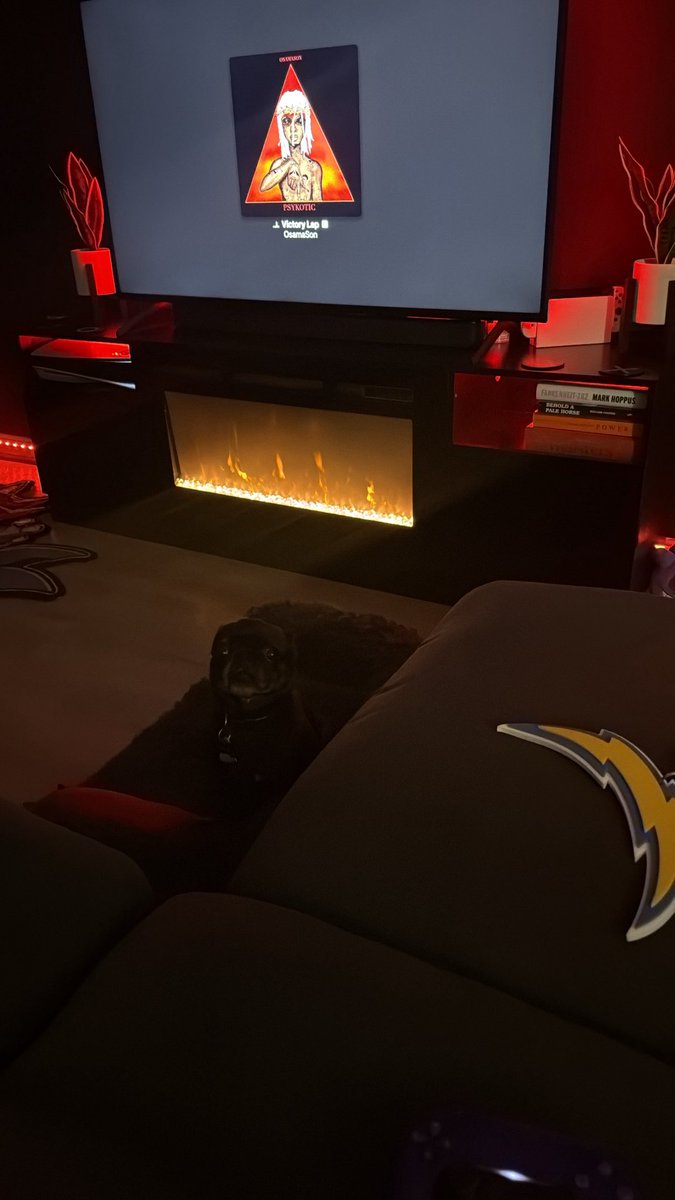 ImmortalShinra's tweet image. It’s something seriously wrong with this dog 🤣🤣