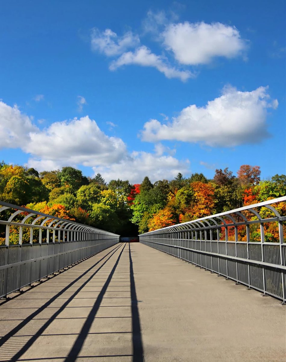 Vanishing autumn point on Pure Waters Pedestrian Bridge 🍁🏙️ Fall views at Seneca Park 📷: Maryann #roc