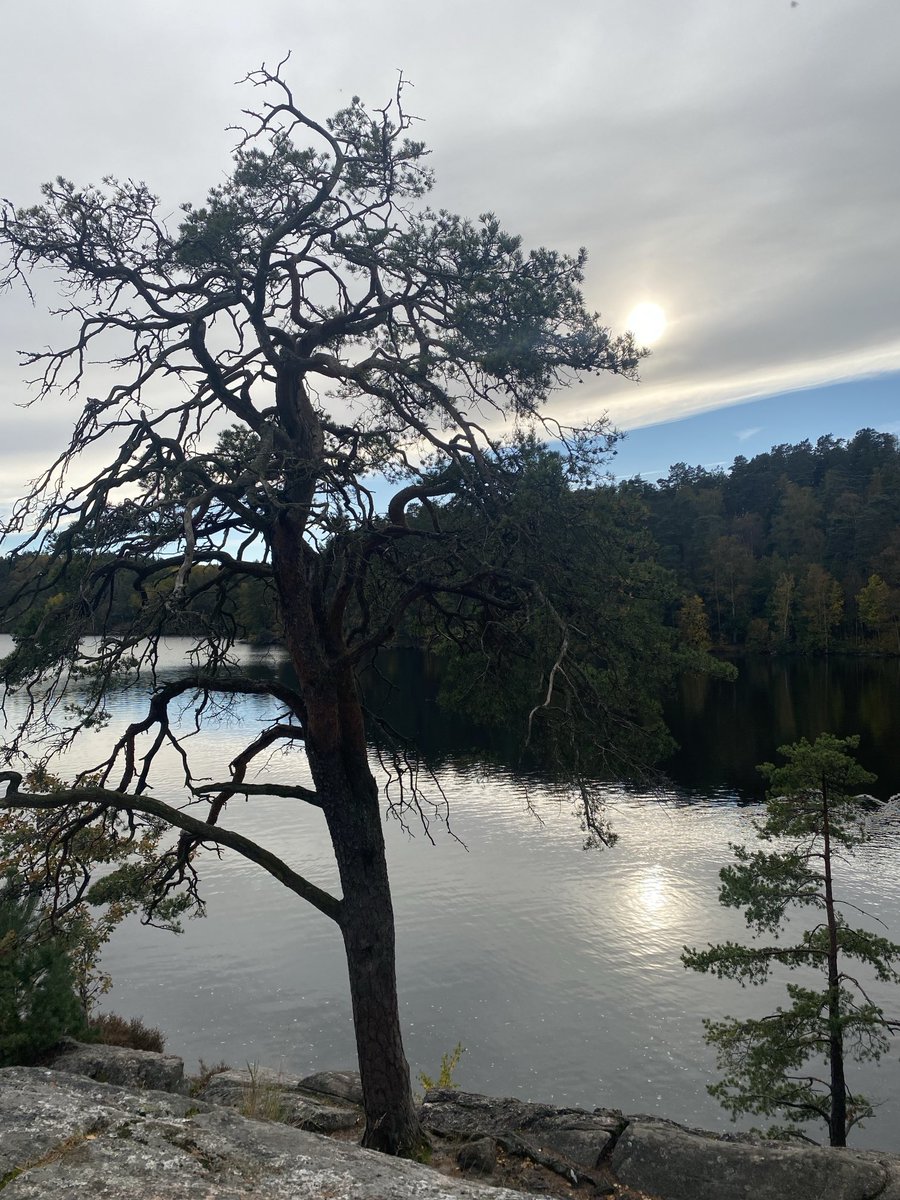 #Västkusten #Delsjön  
#rehabträning 👩‍🦯‍➡️