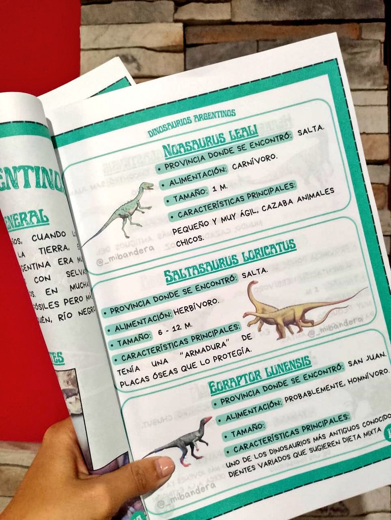 Fan de todo lo que están haciendo los científicos en argentina, hice la revista de DINOSAURIOS ARGENTINOS *inserte meme de homero flameando la bandera*