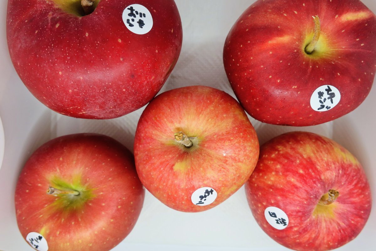 りんごうるち米 いちりんご (@ICHIRINGOICHI) / X