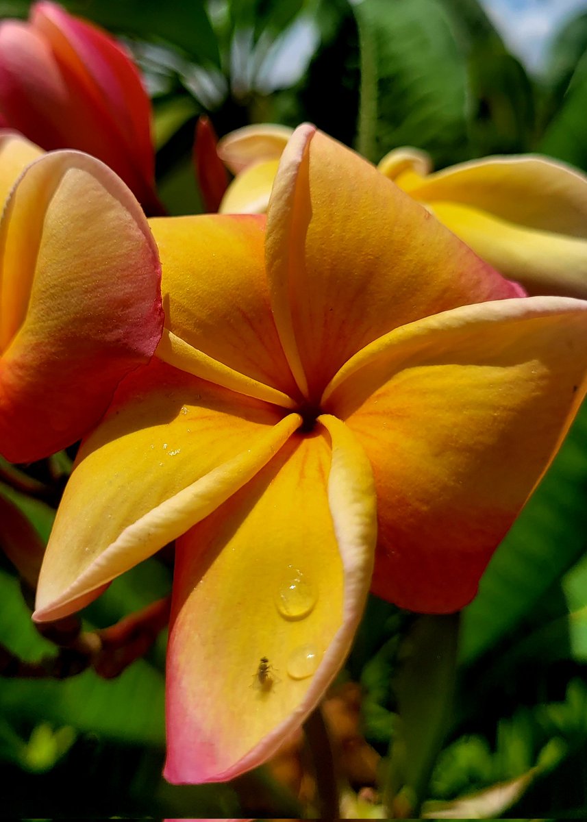 It's time for church. I've got to run. I hope this Sunday brings you rest, relaxation, rejuvenation, &amp; a peaceful heart. 
Have a fantastic day!