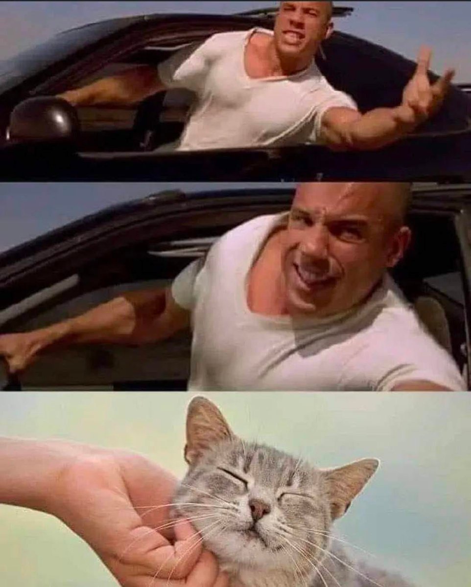 We don't deserve cats 😺 (@catsareblessing) on Twitter photo 