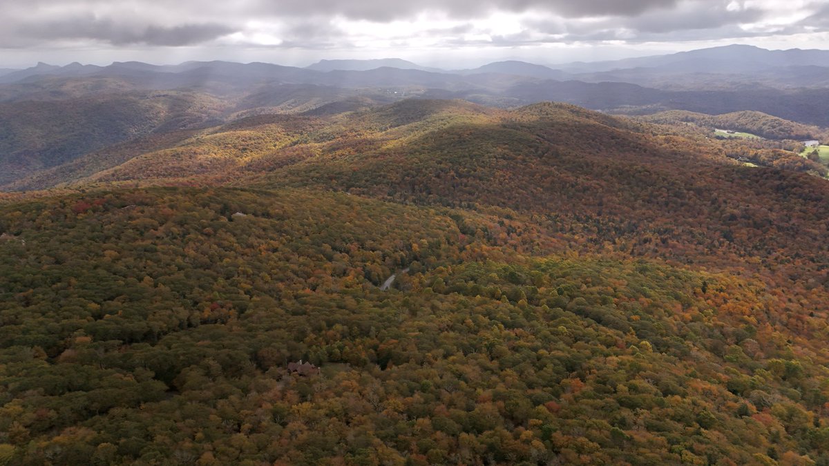 app_life_'s tweet photo. Fall in the Appalachians 🍂 https://t.co/n5UqpM85kB