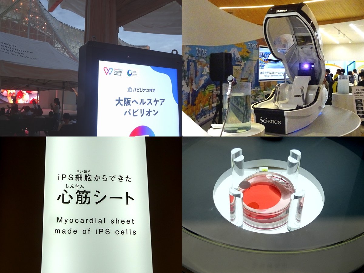 Suteki__Tech's tweet image. 10月上旬「#大阪・関西万博」へ

1位「日本館」
□小惑星イトカワからの採取サンプル！

2位「大阪ヘルスケア」
□#IPS細胞 心筋シートが動く！

3位「未来の都市」
□体験映像が勉強になる！

番外編
□「水素燃料電池船」に乗船、「空飛ぶクルマ」デモ飛行、「大屋根リング」の迫力

#ミャクミャク