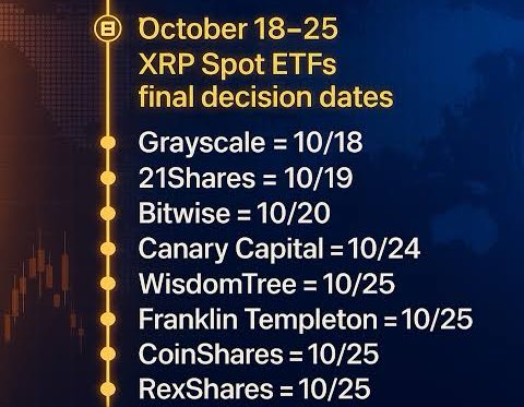 🚨8 SPOT #XRP ETFs WILL BE APPROVED THIS MONTH! 

💥PREPARE FOR MASSIVE NEWS💥