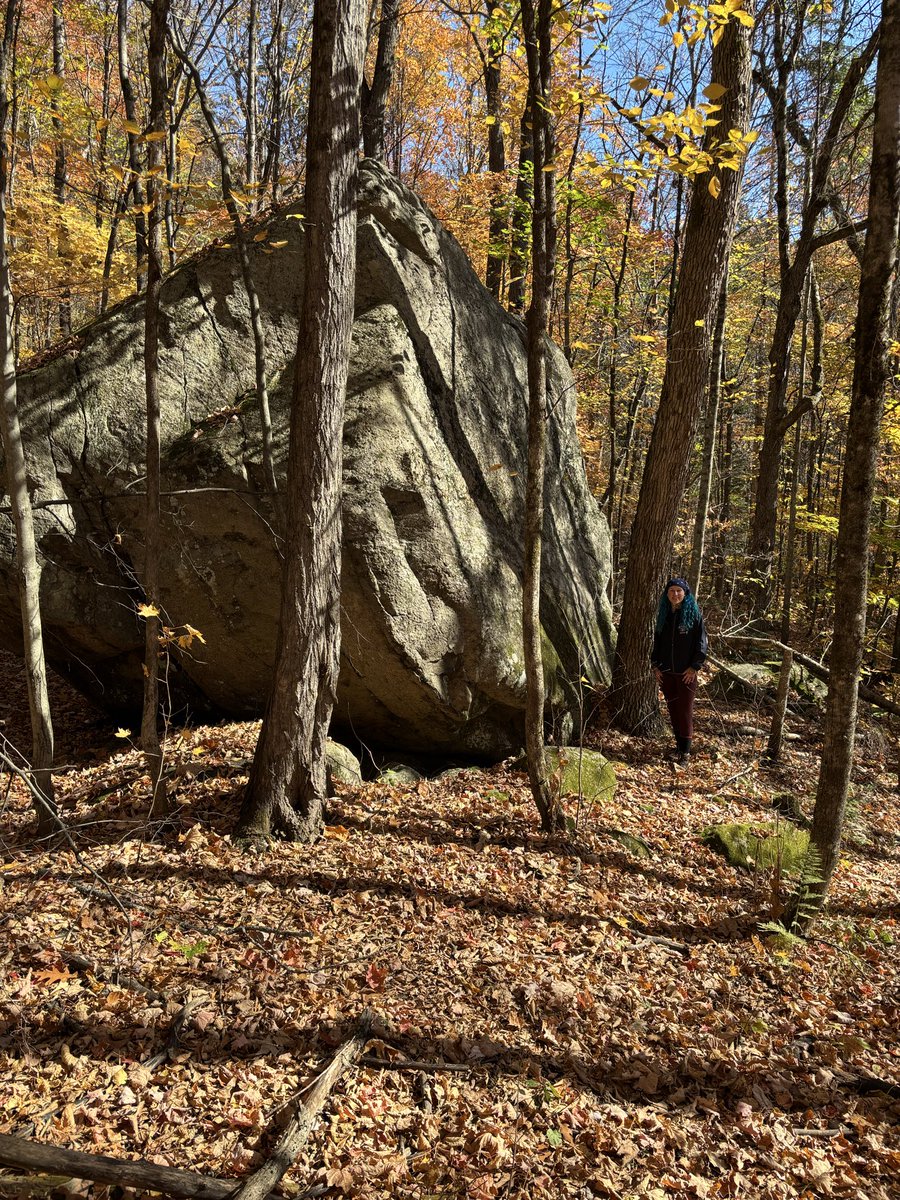 kelbaker31's tweet photo. Birthday Hike 🥳💪��🎈⛰️ #nature Réserve Naturelle Alfred-Kelly, Prévost 🎉😍 #hiking #randonnée #laurentides #hikingday #outdoors #forest #mountains #perfectday #bday https://t.co/NckLzGRT8c