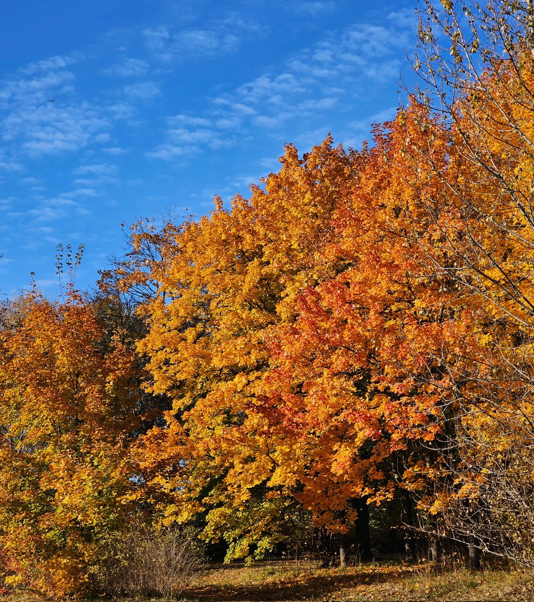 Озолотился немного.