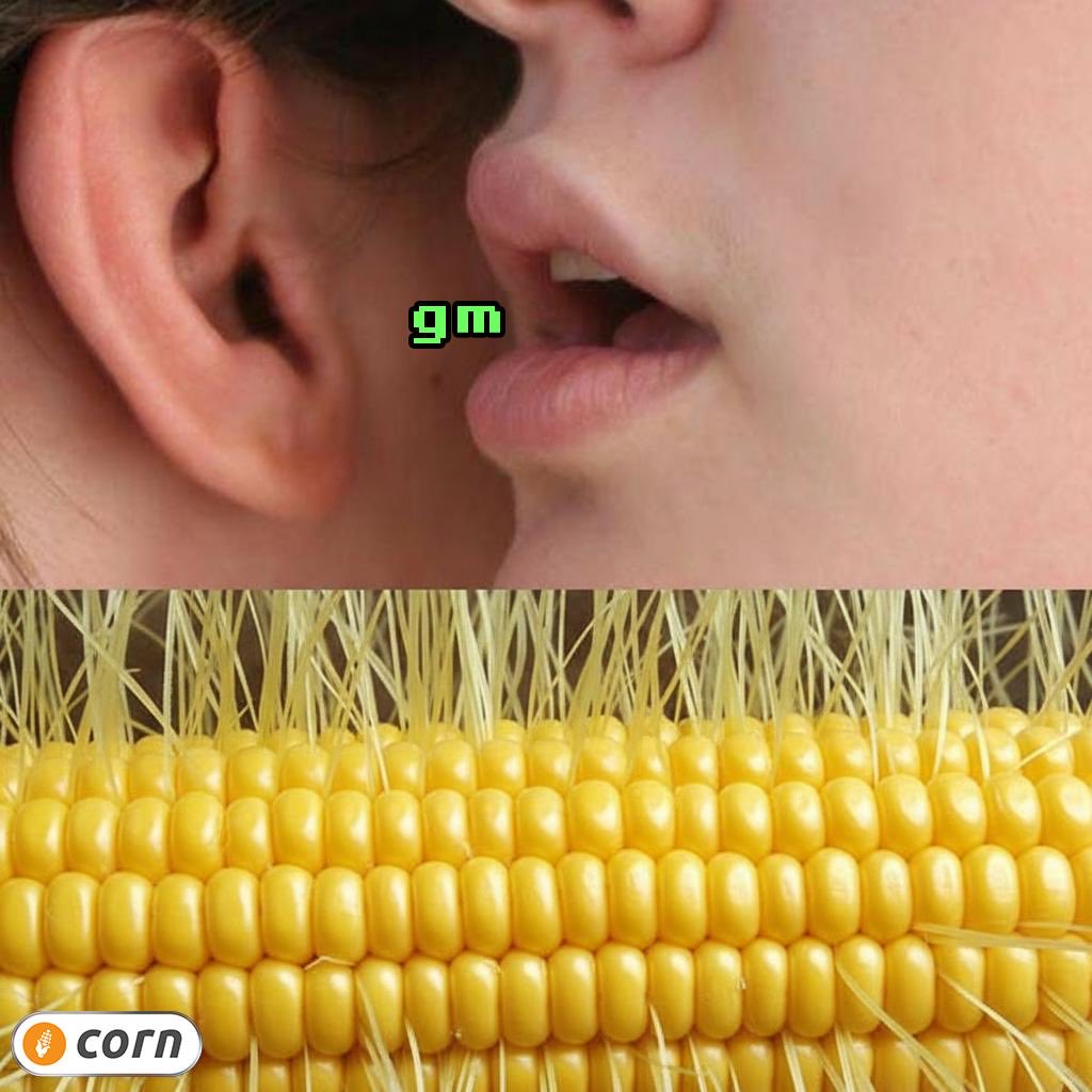 use_corn's tweet image. Say it back