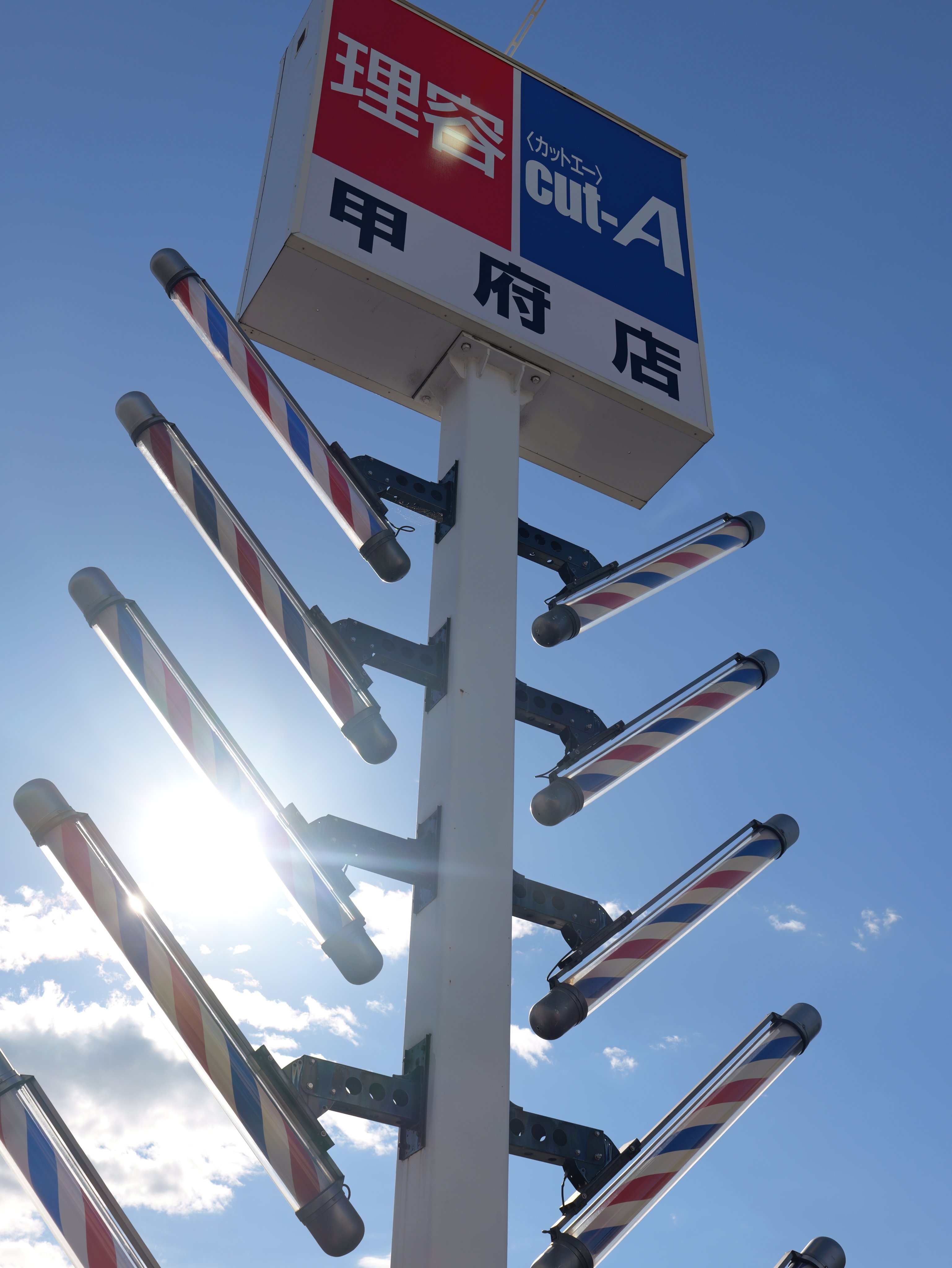 ももは【プロフ必読】 ももプロZ（1）』（小城 徹也）｜講談社