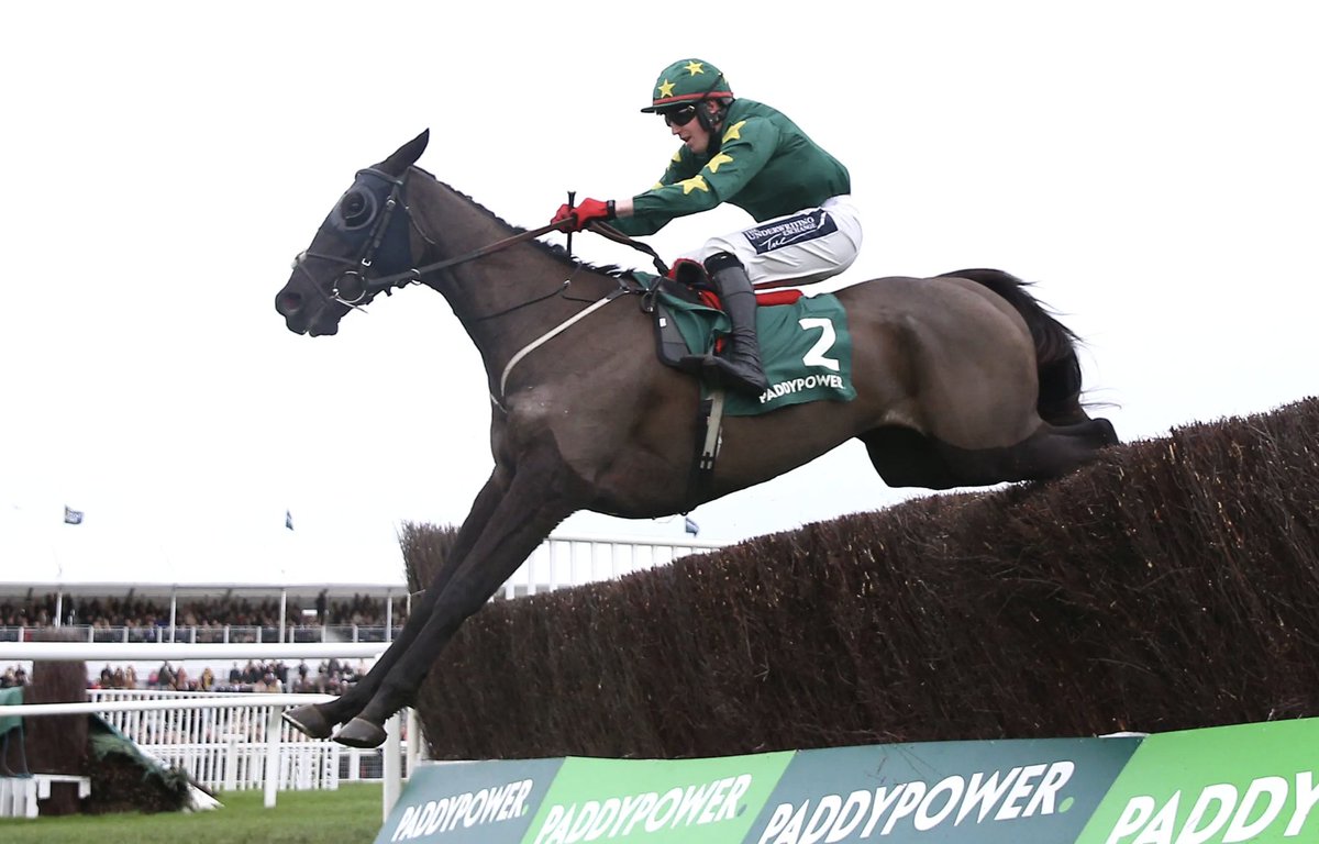 RacingTV's tweet image. Stumptown appreciation post. #Velkapardubicka