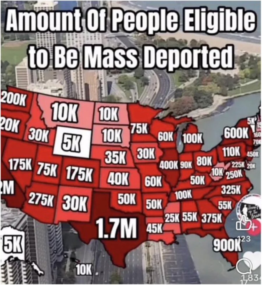 SaltyGoat17's tweet image. Deport them all!!!