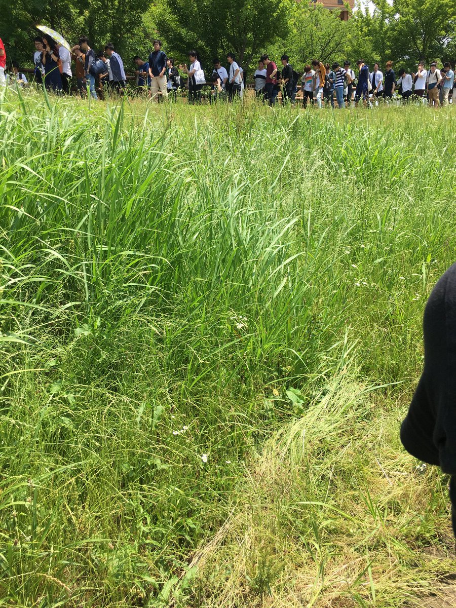 nanoha1024_'s tweet photo. ライブも近いので自己紹介
名前 なのは
好きなアニメ ごちうさ、魔女の旅々、転天
好きないのりん曲  Starry Wish
初参加いのりんのライブ ブルコン
よくやるゲーム パズドラ、モンスト

めちゃくちゃ気軽に絡んで貰えると嬉しいです。

#いのりまちと繋がりたい
#いのりまち町民と繋がりたい https://t.co/eyWTq9VN5i