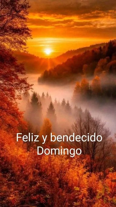 Autumn landscape at sunset with vibrant orange and red foliage on trees lining misty valleys and a winding river below, the sun positioned low on the horizon casting warm light, overlaid text reading Feliz y bendecido Domingo.